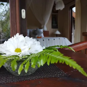 Umah Ubud